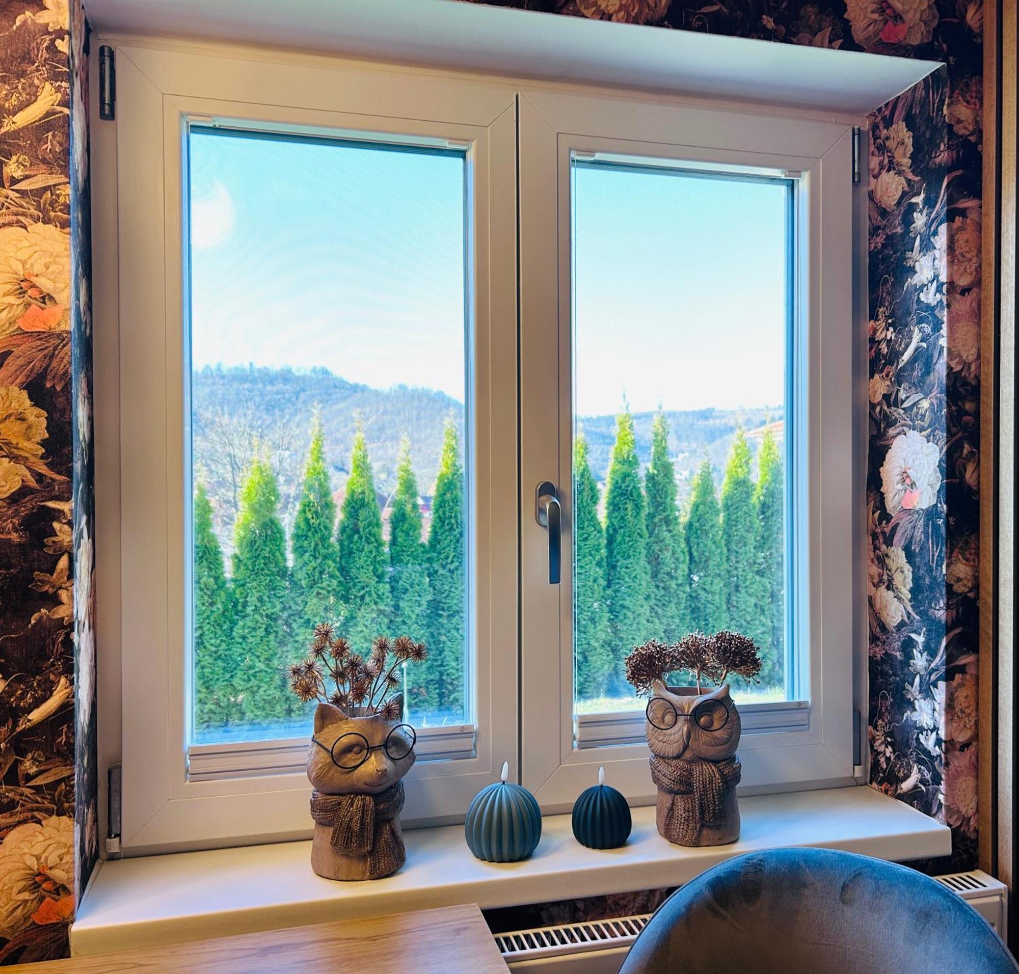 Wohnung Goethe'S Bergblick Bad Harzburg Dış mekan fotoğraf